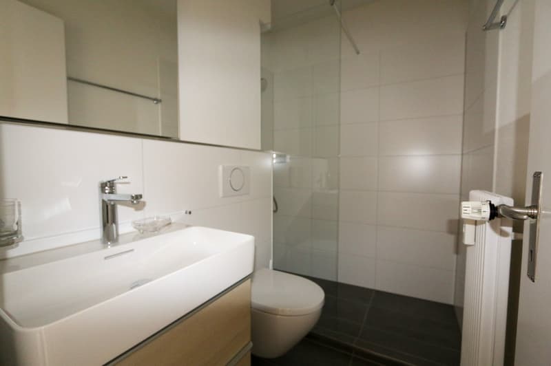 frisch renovierte 3-Zimmer-Wohnung in zentraler Berner Lage (3)