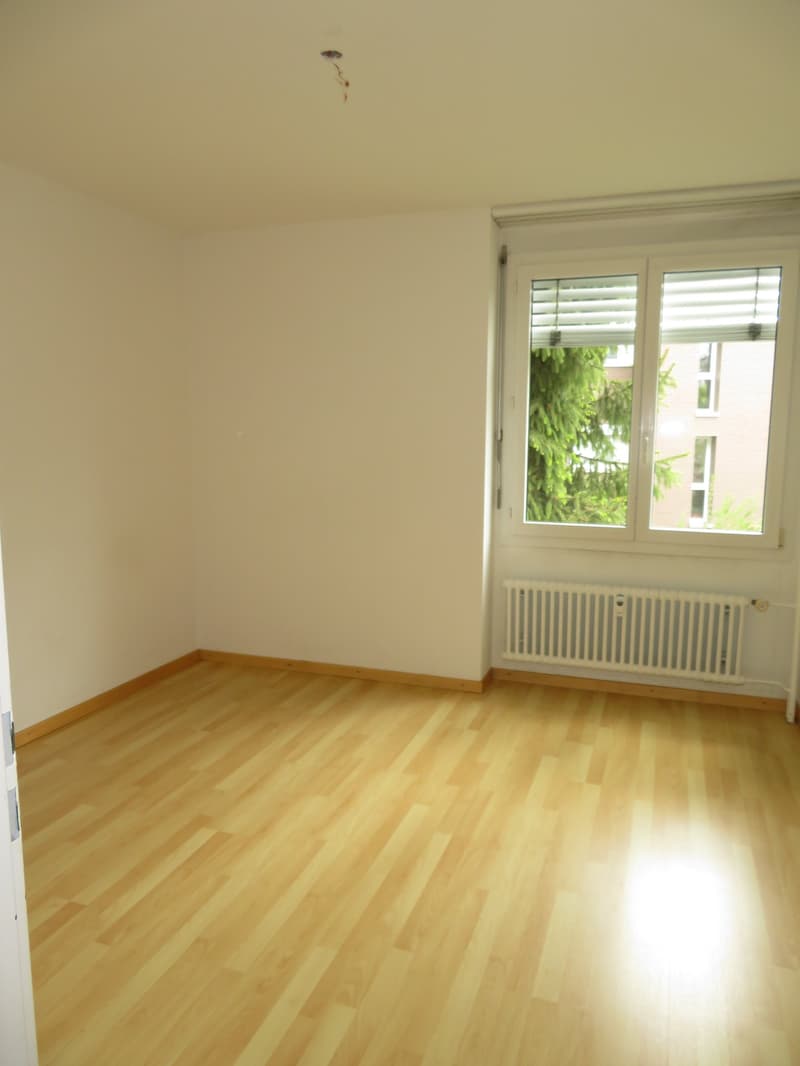 Grosszügige 4.5-Zimmerwohnung an ruhiger und sonniger Lage (4)