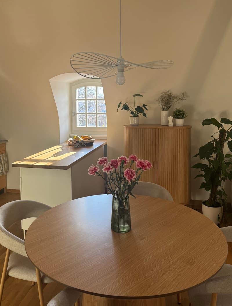 Helle Dachwohnung im Berner Kirchenfeld (2)