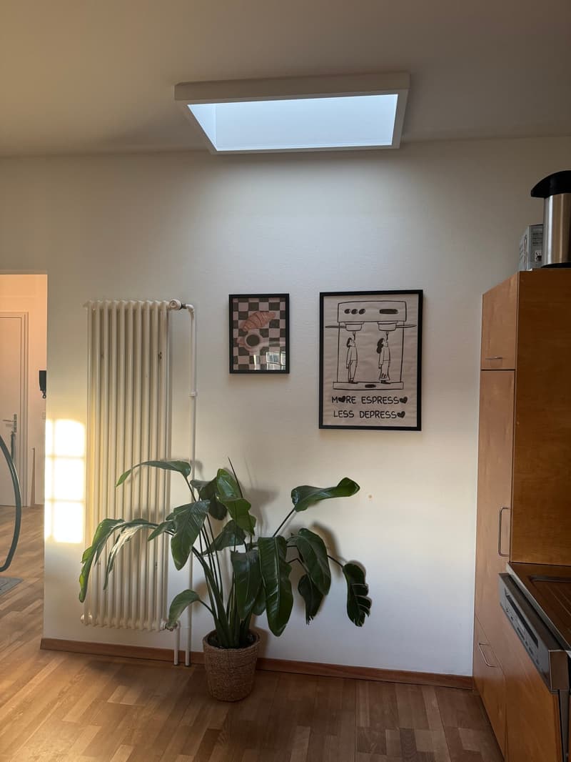 Helle Dachwohnung im Berner Kirchenfeld (17)