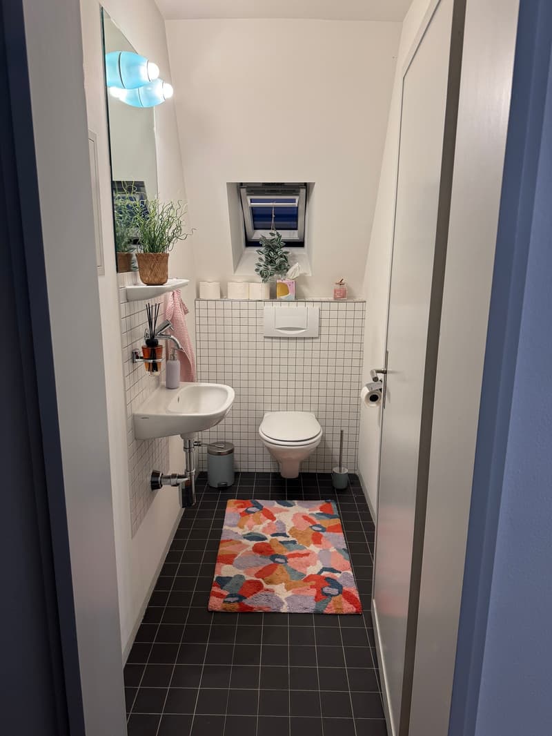 Helle Dachwohnung im Berner Kirchenfeld (18)