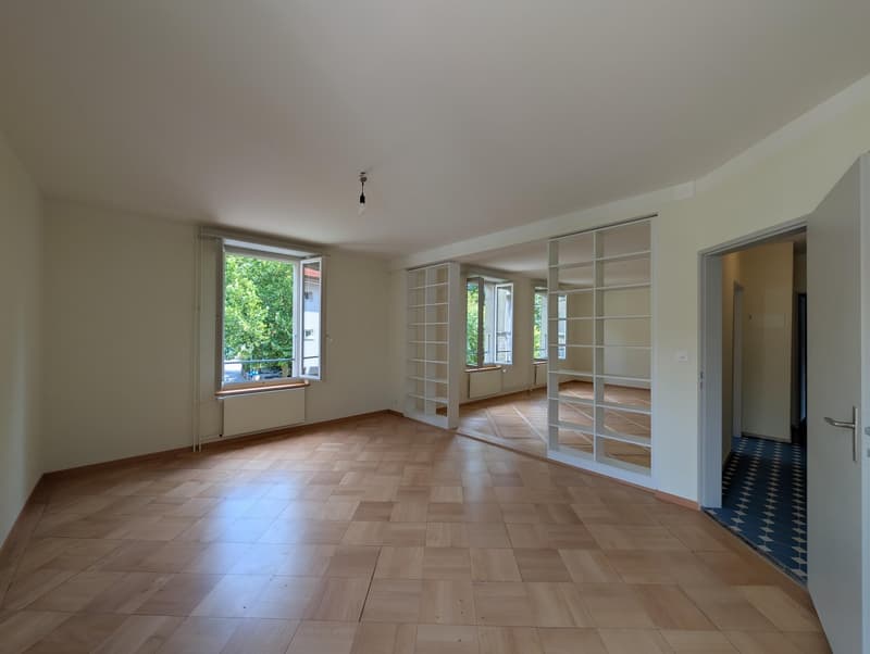 Grosszügige und frisch sanierte Wohnung zu vermieten (4)