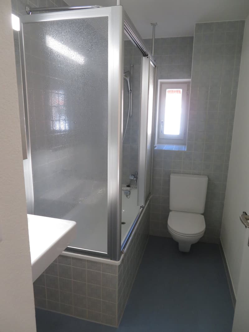 Grosszügige und frisch sanierte Wohnung zu vermieten (28)