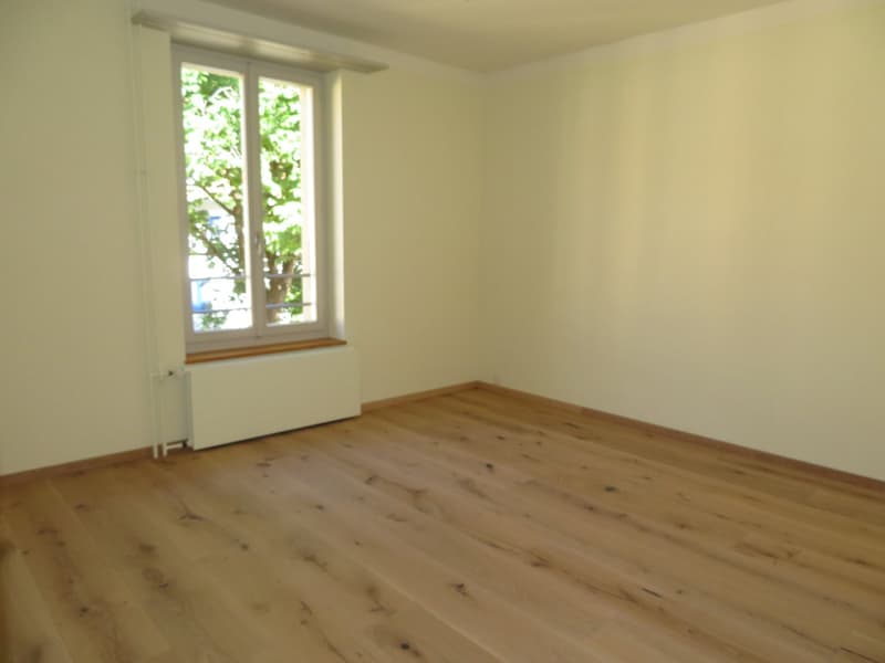 Grosszügige und frisch sanierte Wohnung zu vermieten (19)