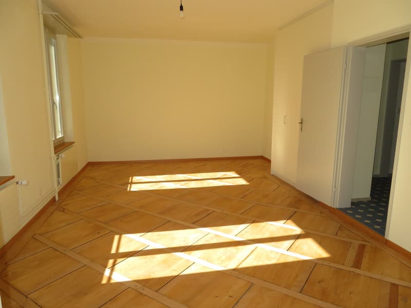 Grosszügige und frisch sanierte Wohnung zu vermieten (8)
