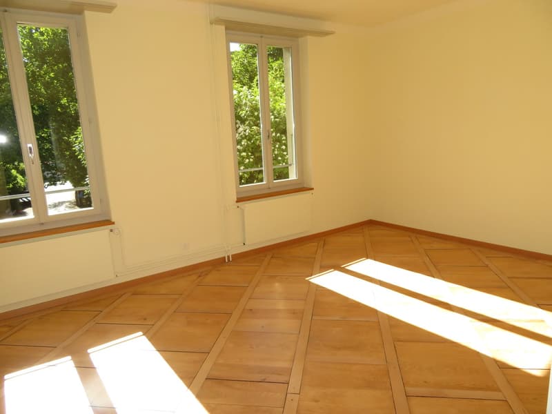 Grosszügige und frisch sanierte Wohnung zu vermieten (7)