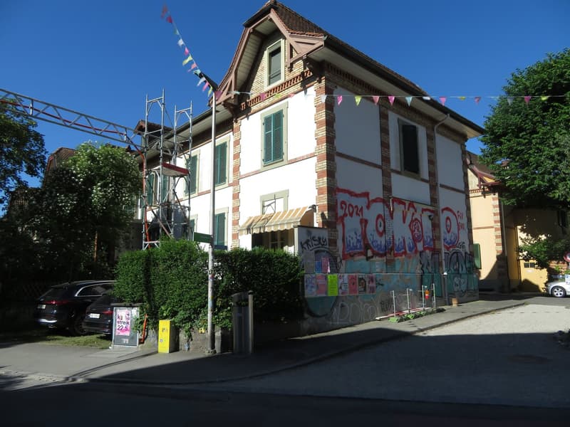 Grosszügige und frisch sanierte Wohnung zu vermieten (31)