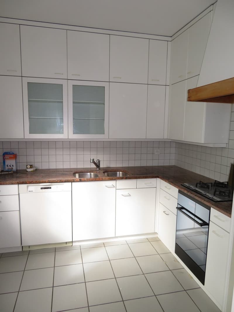Herrschaftliche 4.5 Zimmerwohnung mit schönem Gemeinschaftsgarten (8)