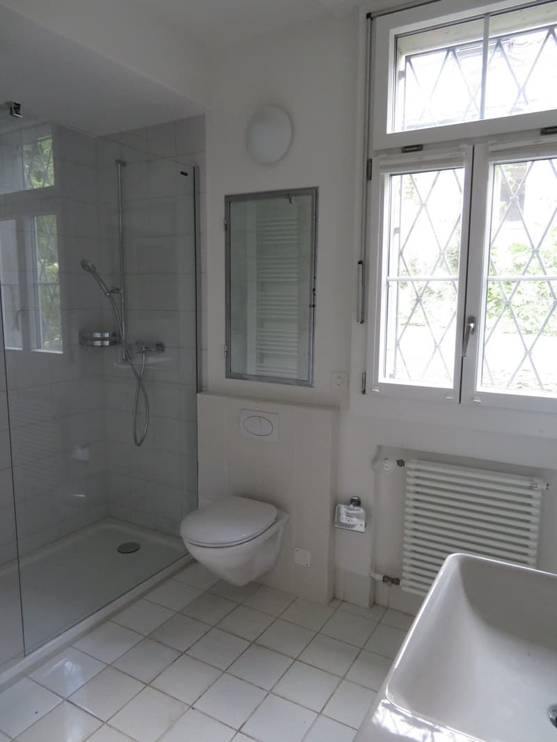 Herrschaftliche 4.5 Zimmerwohnung mit schönem Gemeinschaftsgarten (7)