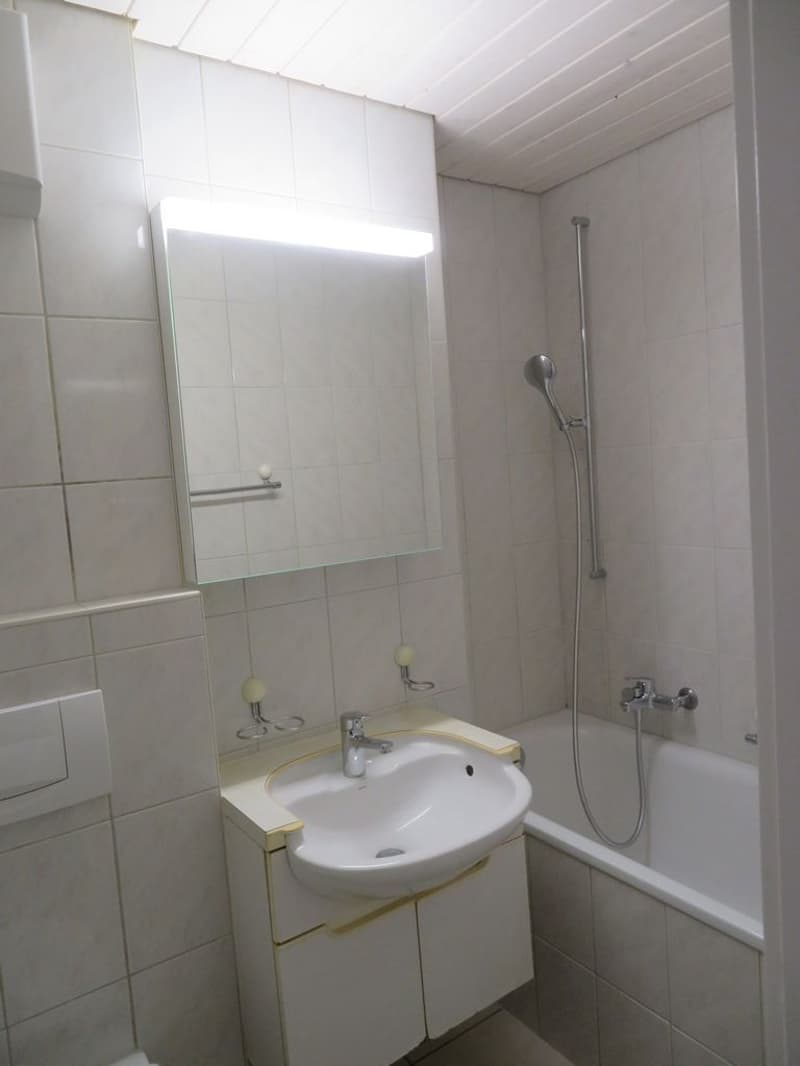 Bern - Sulgenauweg / ruhig gelegene Stadt-Wohnung (6)