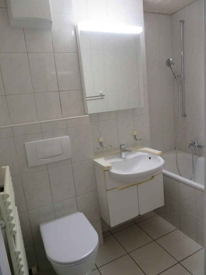 Bern - Sulgenauweg / ruhig gelegene Stadt-Wohnung (7)