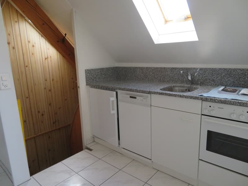 Charmante Dachwohnung zu vermieten (9)