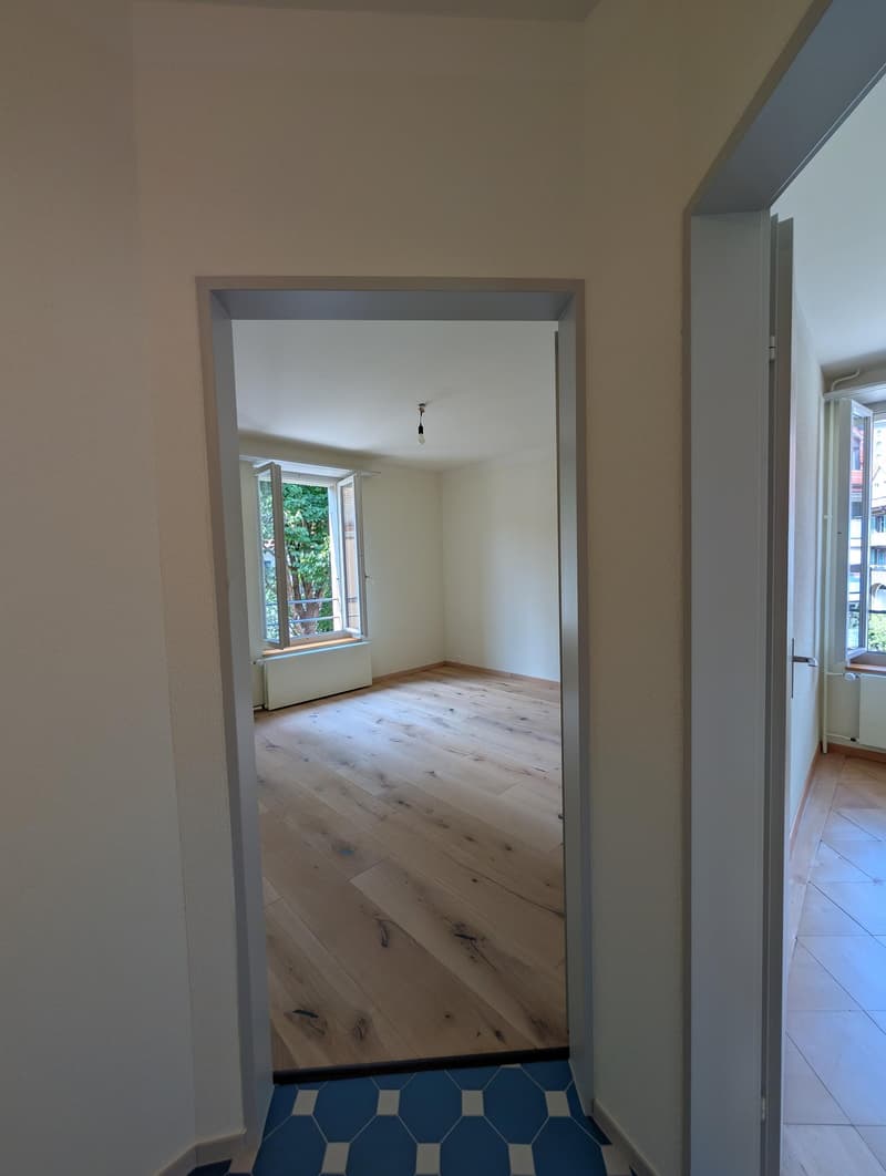 Grosszügige und frisch sanierte Wohnung zu vermieten (16)