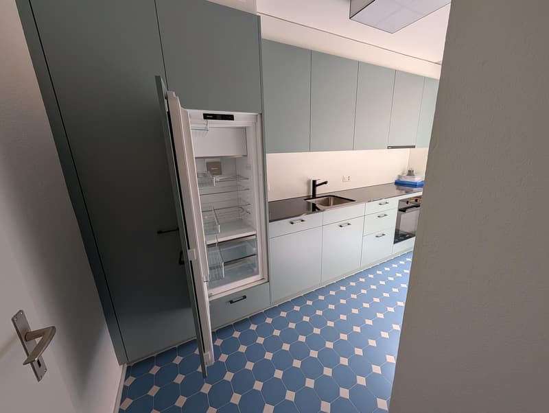 Grosszügige und frisch sanierte Wohnung zu vermieten (25)