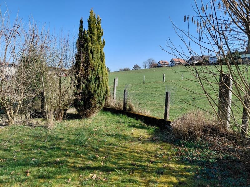 small garden with lawn, shrubs, and trees, surrounded by a fence, overlooking a grassy field and houses in the distance
