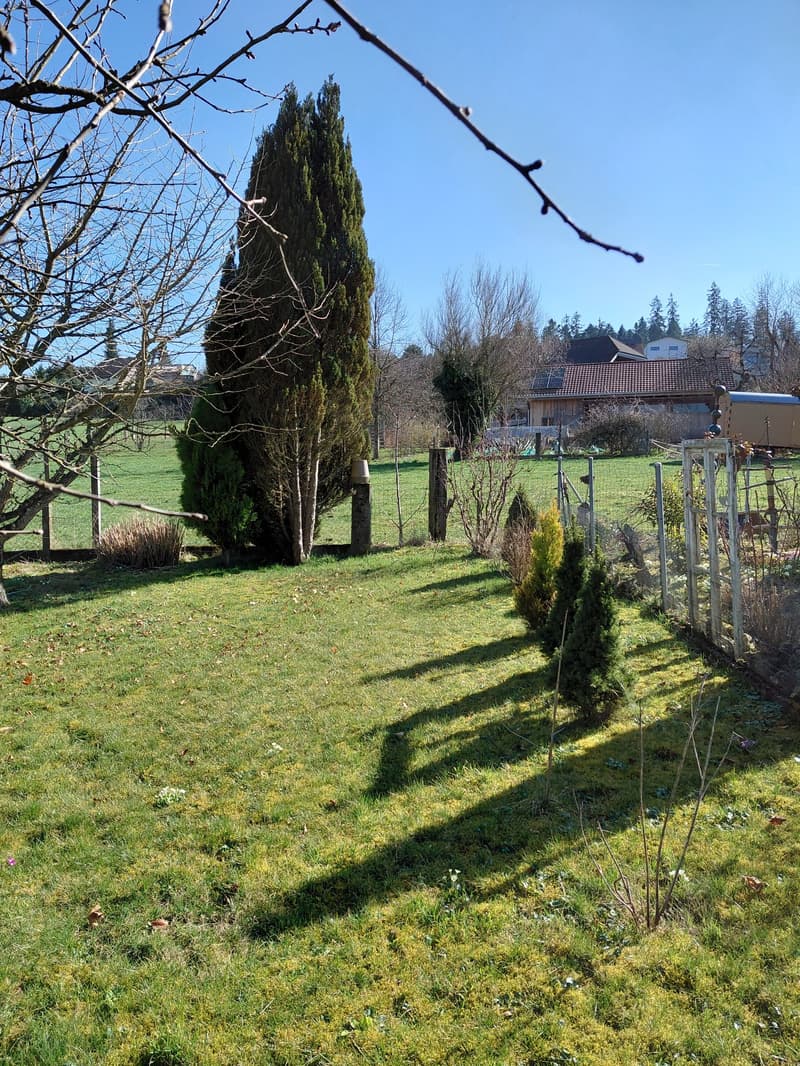 lawn, trees, fencing, garden plot, distant house