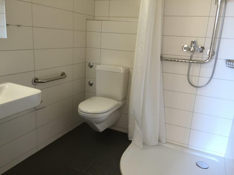 3 1/2-Zimmerwohnung, 2. Stock links (3)