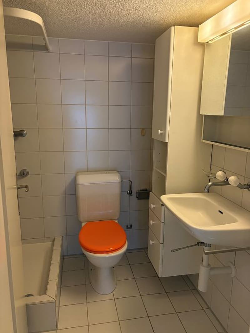 Charmante 2-Zimmerwohnung, 3. Stock links mit Lift - kein Balkon (5)