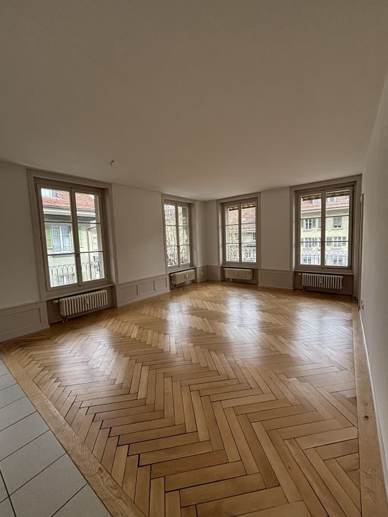 Moderne Altbauwohnung im Stadtzentrum (3)