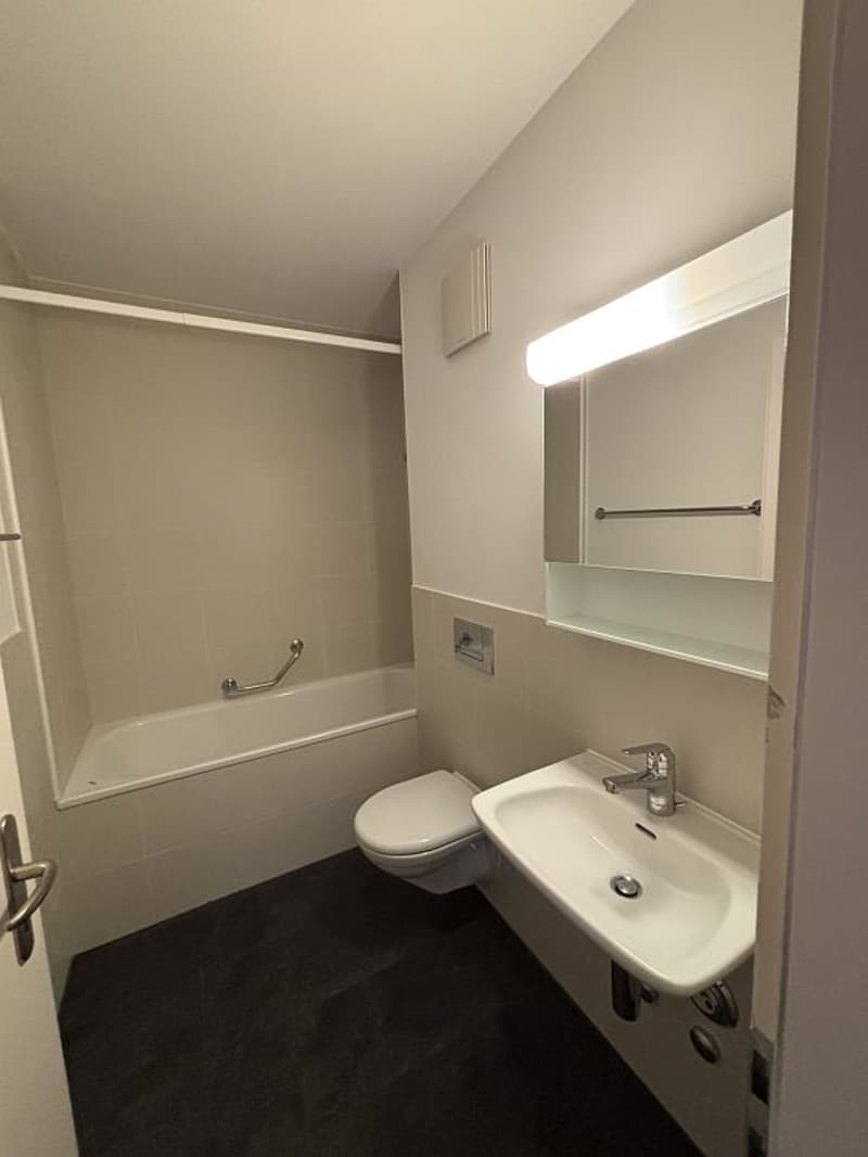 Moderne Altbauwohnung im Stadtzentrum (6)