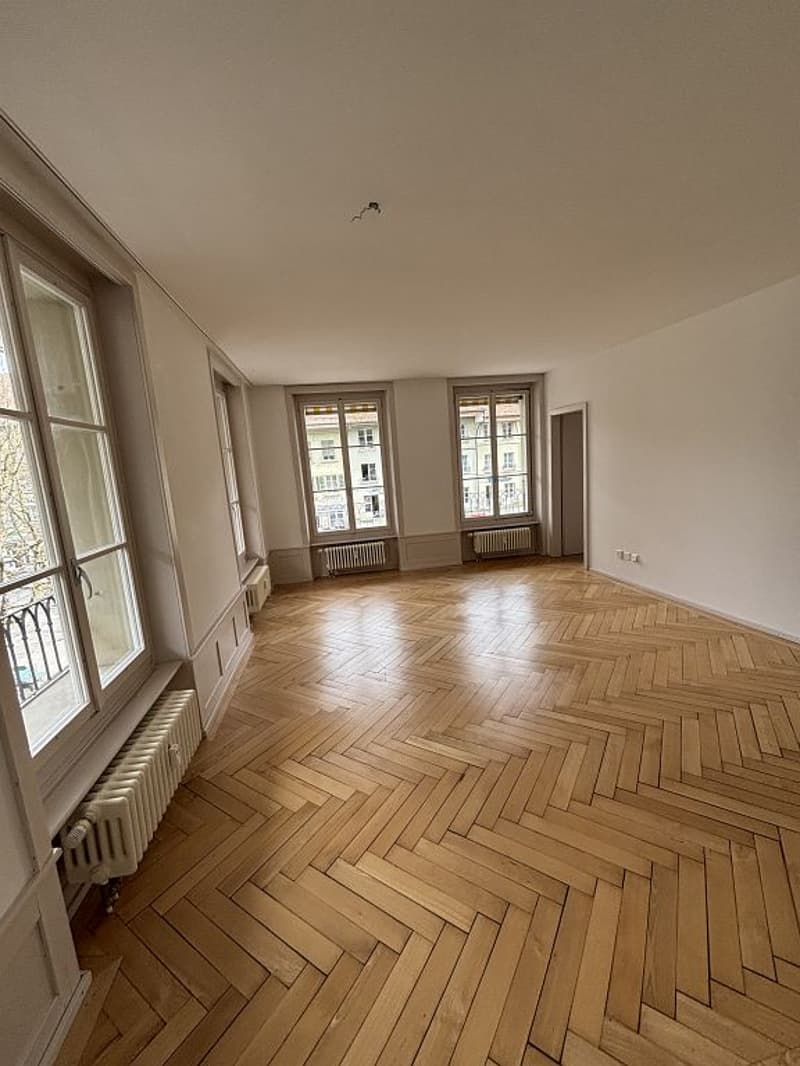 Moderne Altbauwohnung im Stadtzentrum (4)