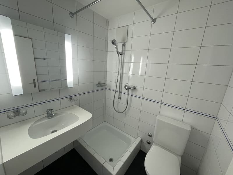 4 1/2-Zimmerwohnung, 3. Stock links (11)