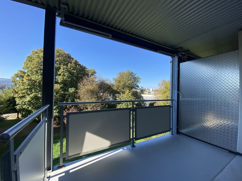 3 1/2-Zimmerwohnung, 2. Stock rechts (9)