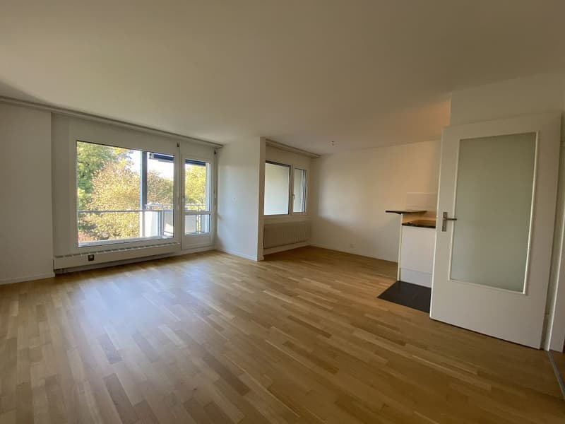 3 1/2-Zimmerwohnung, 2. Stock rechts (4)