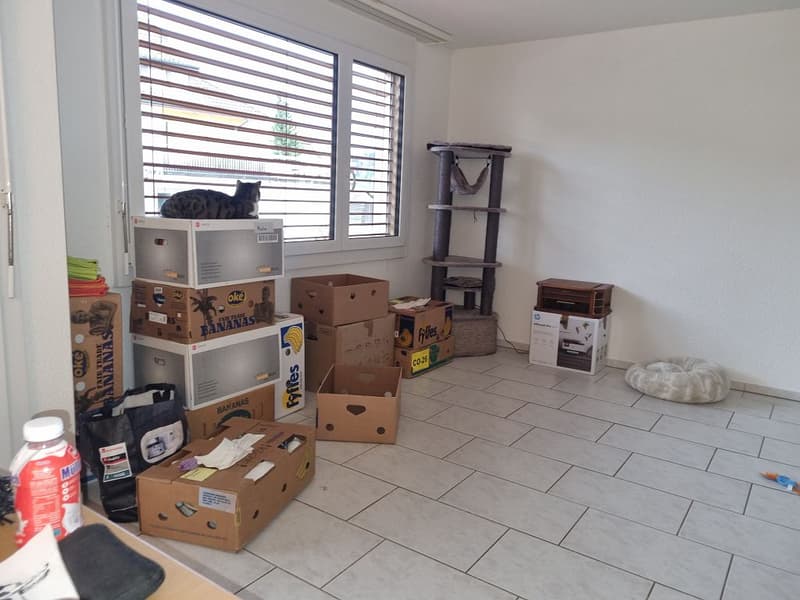 3.5-Zimmerwohnung, Parterre links (4)