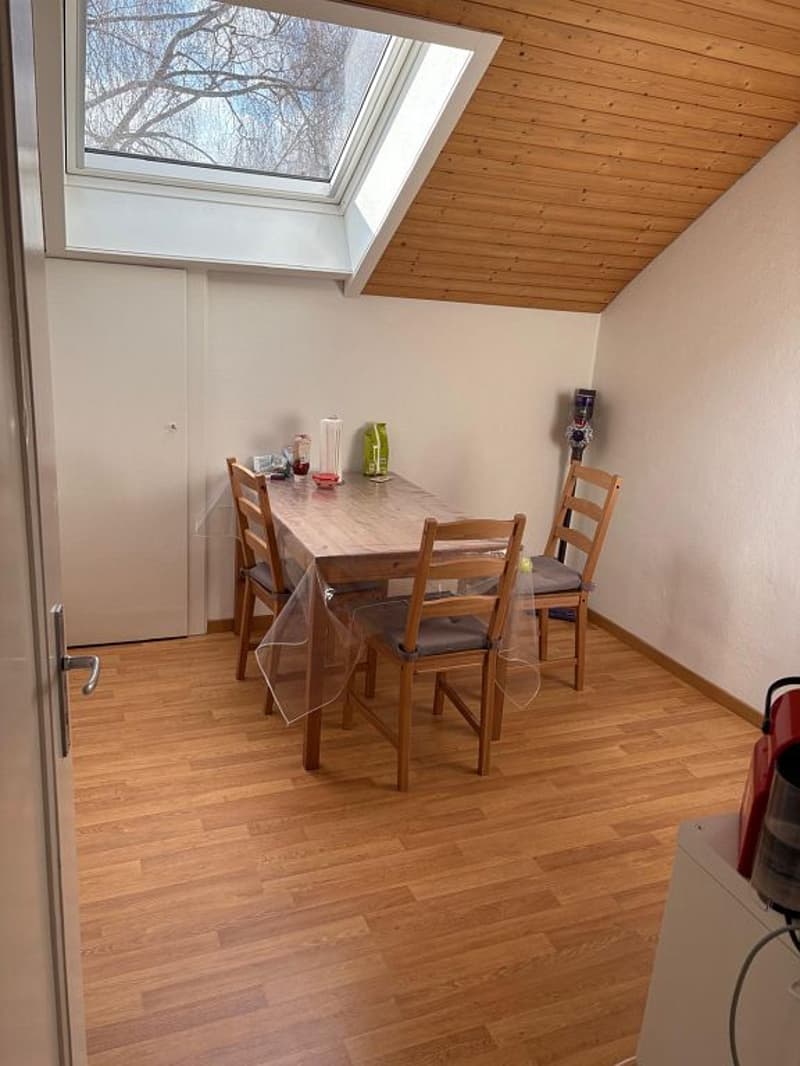3-Zimmerwohnung, 2. Stock (3)