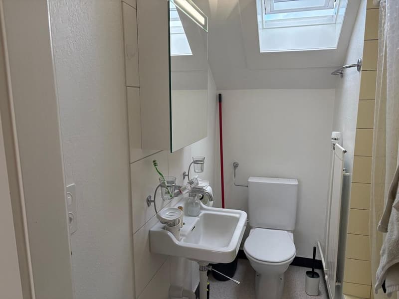 3-Zimmerwohnung, 2. Stock (7)