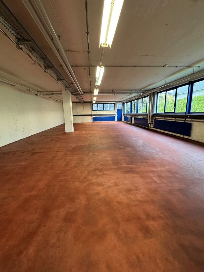 Gewerberaum 2. UG (2)
