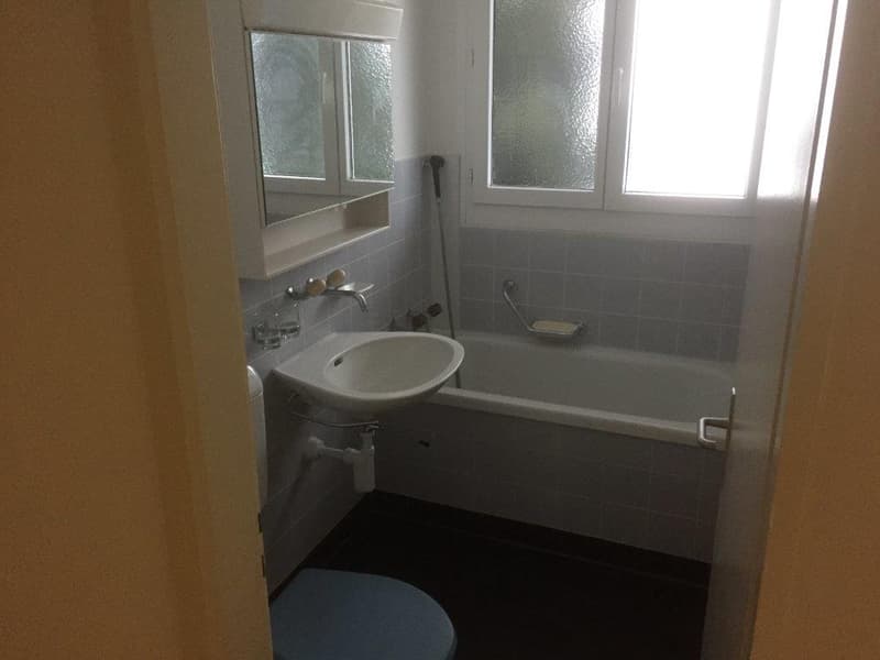 3 1/2-Zimmerwohnung, 2. Stock links (4)