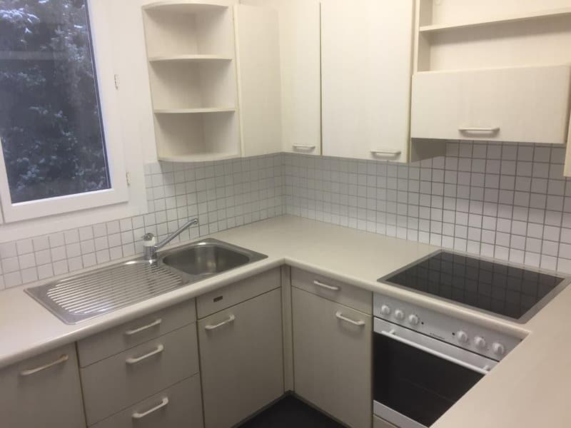 3 1/2-Zimmerwohnung, 2. Stock links (3)