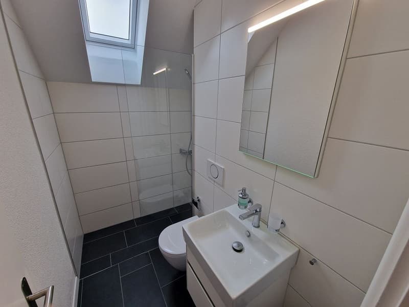 2- Zimmerwohnung, 2. Stock links (Dachwohnung Nr. 7) (5)
