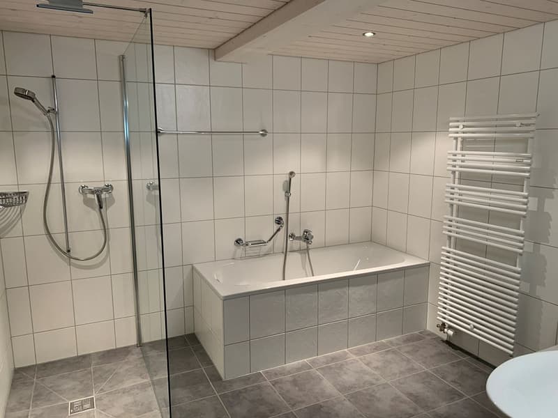 2 1/2 Zimmerwohnung, 1. Stock links (7)