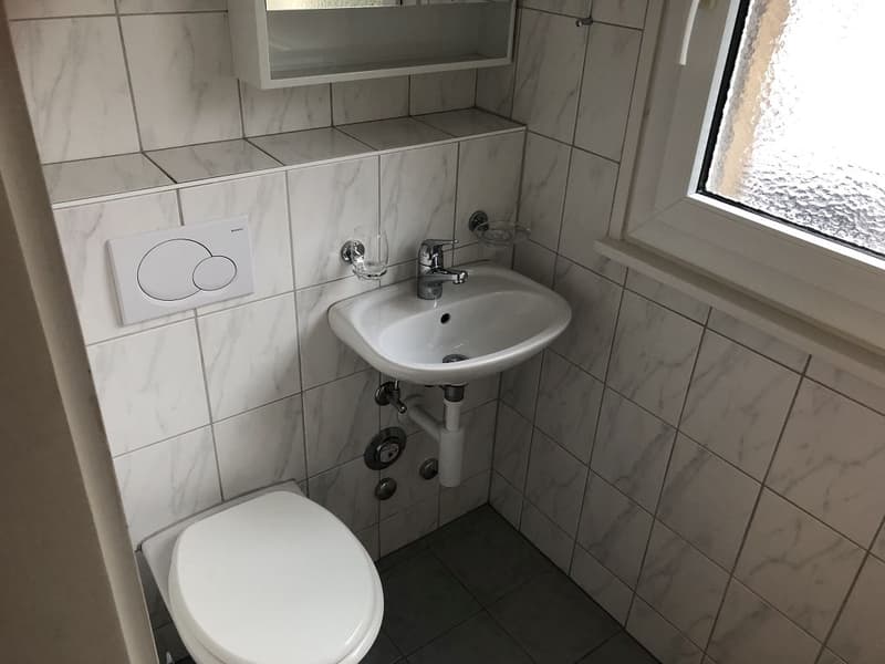 3 1/2-Zimmerwohnung, 1. Stock rechts (6)