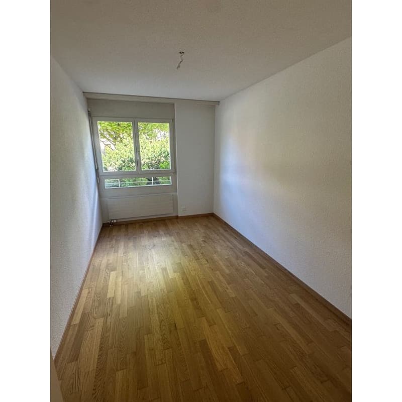 3 1/2 Zimmerwohnung, EG rechts (9)