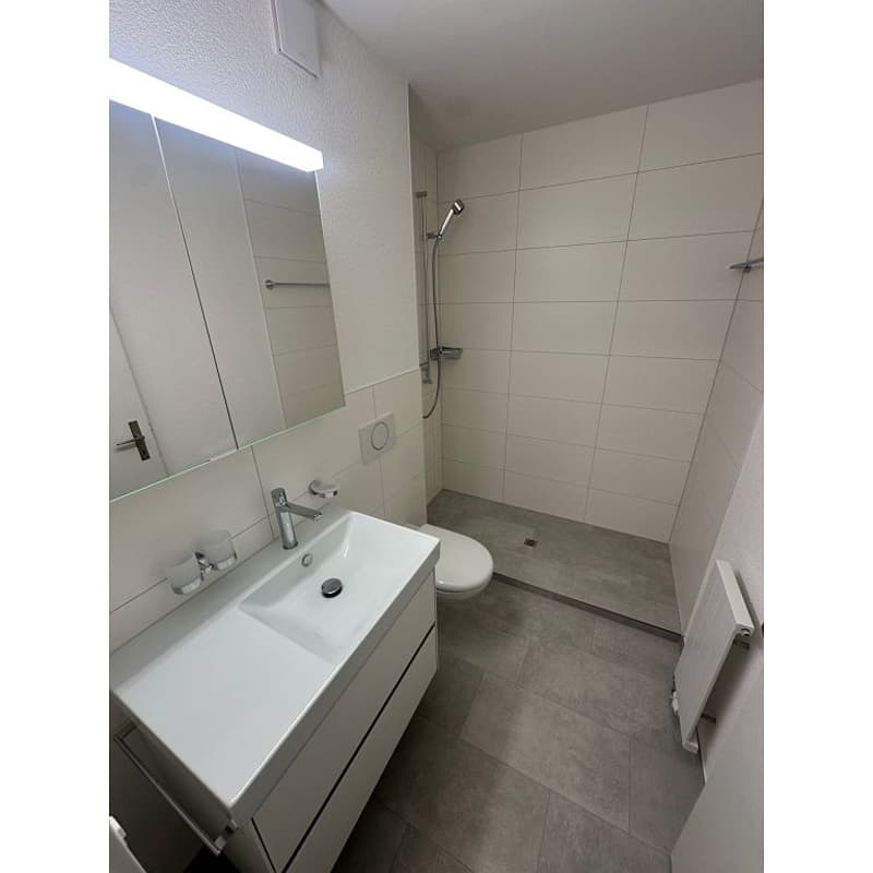 3 1/2 Zimmerwohnung, EG rechts (10)