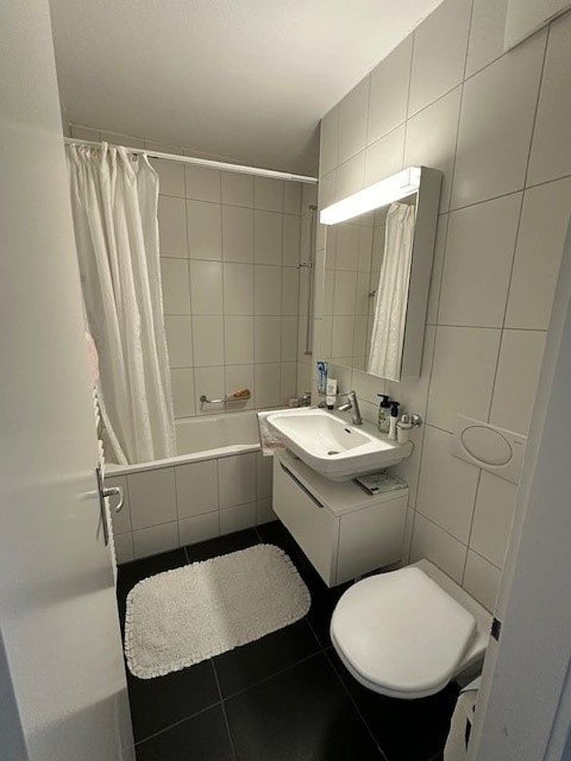 3 1/2-Zimmerwohnung, 2. Stock links (5)