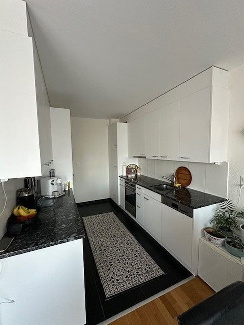 3 1/2-Zimmerwohnung, 2. Stock links (3)