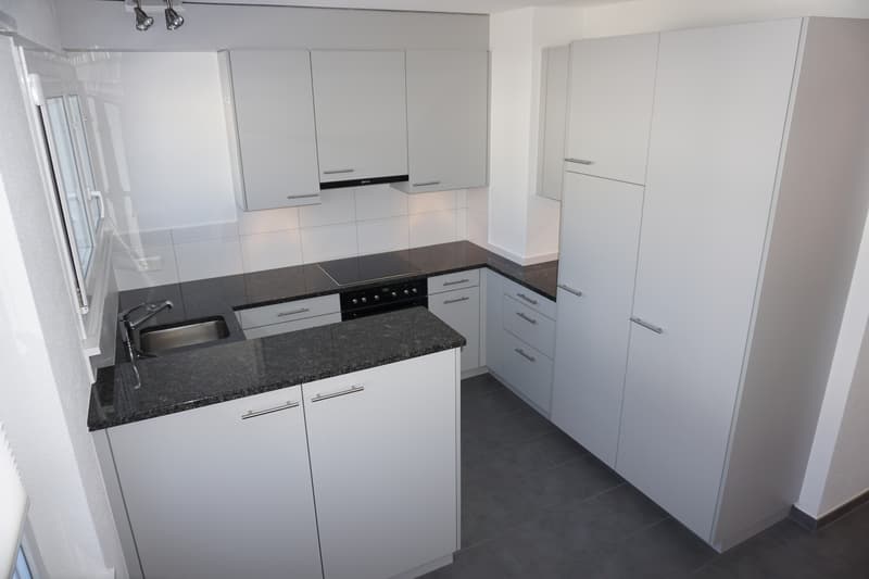 3 1/2-Zimmerwohnung Nr 2, Parterre rechts (2)