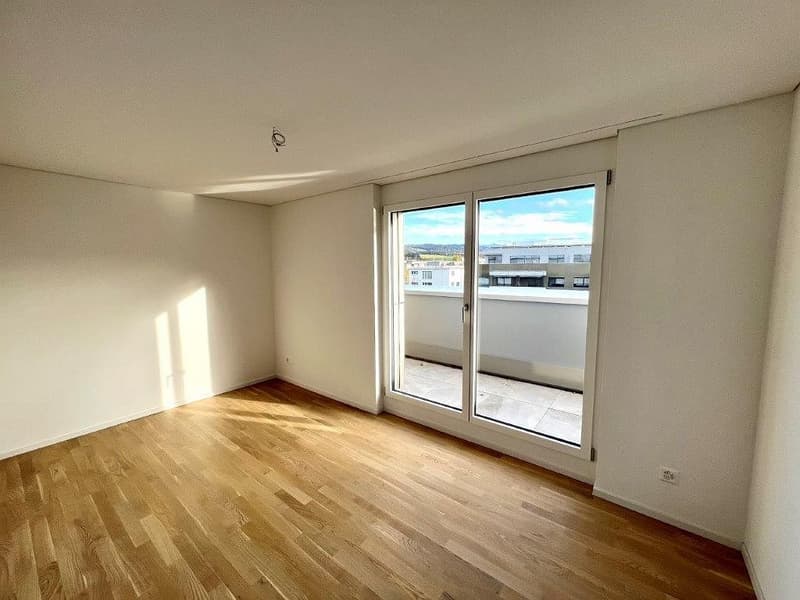 3 1/2-Zimmer-Attikawohnung (8)