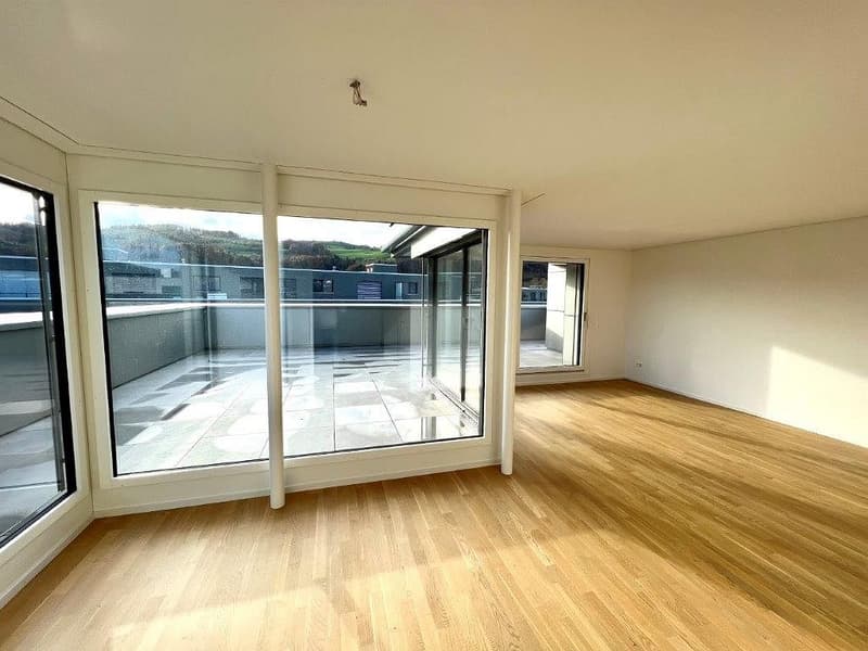 3 1/2-Zimmer-Attikawohnung (4)