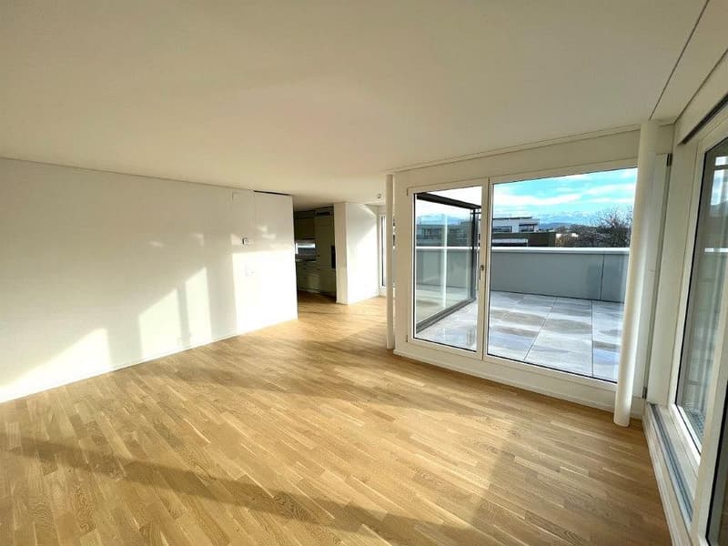 3 1/2-Zimmer-Attikawohnung (6)