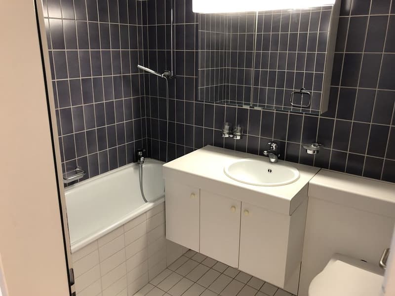 2 1/2-Zimmerwohnung, 2. Stock links (5)