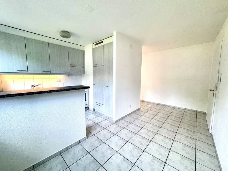 3 1/2-Zimmerwohnung, Parterre links (3)