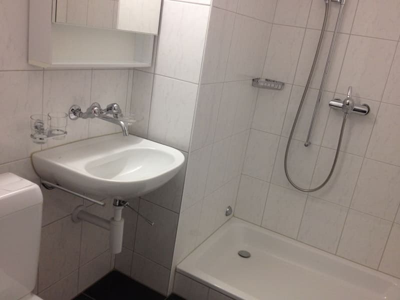 2-Zimmerwohnung, 2. Stock mitte (5)