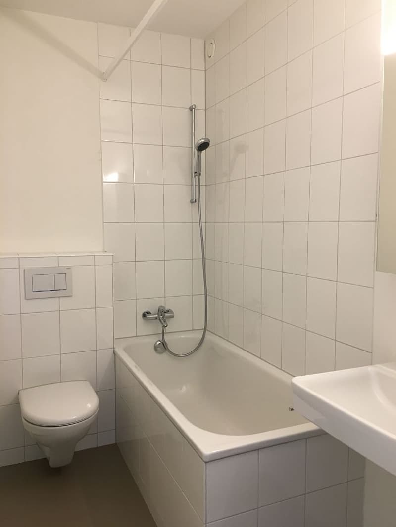 2-Zimmerwohnung, 2. Stock rechts (8)