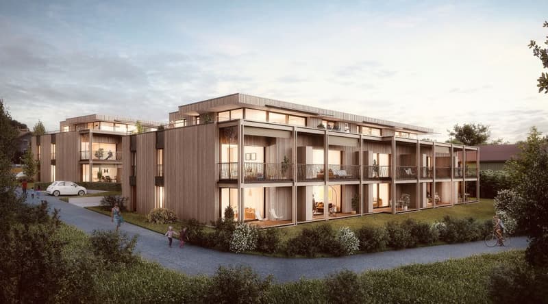 3.5-Zimmerwohnung Attika B2_03 (1)